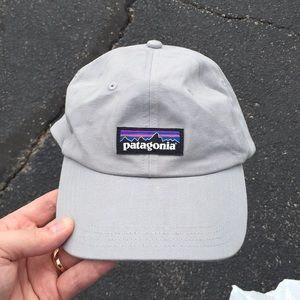Patagonia Dad Hat